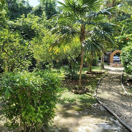 Villa Mini Pini Bird Watching And Cenote Loft Cozumel Esterno foto