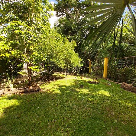 Villa Mini Pini Bird Watching And Cenote Loft Cozumel Esterno foto