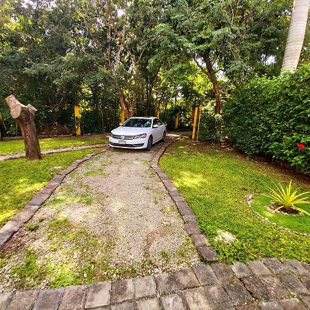 Villa Mini Pini Bird Watching And Cenote Loft Cozumel Esterno foto