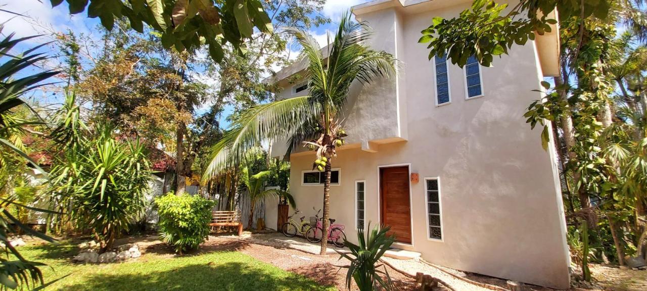 Villa Mini Pini Bird Watching And Cenote Loft Cozumel Esterno foto