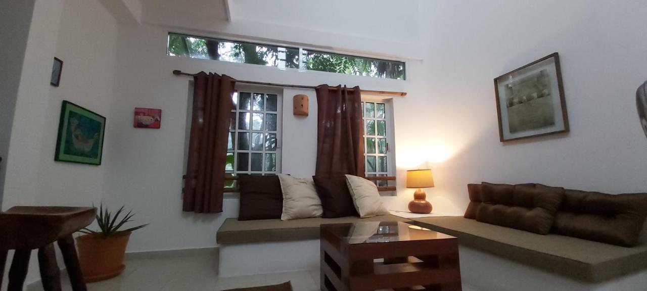 Villa Mini Pini Bird Watching And Cenote Loft Cozumel Esterno foto