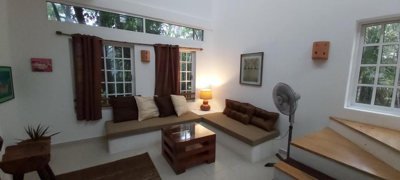 Villa Mini Pini Bird Watching And Cenote Loft Cozumel Esterno foto