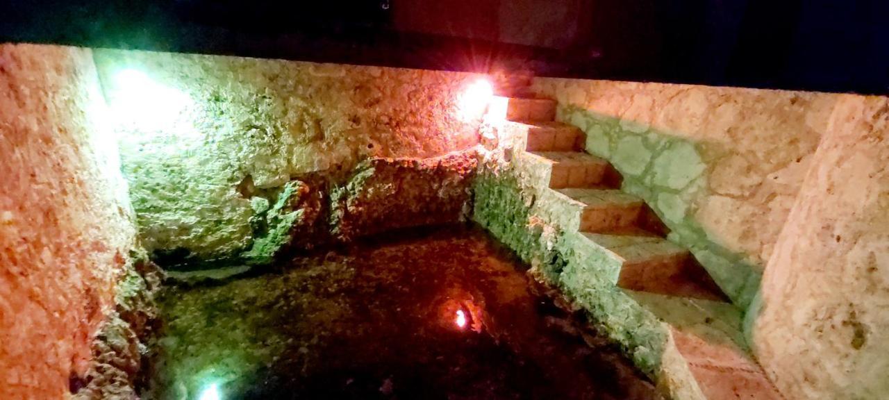 Villa Mini Pini Bird Watching And Cenote Loft Cozumel Esterno foto