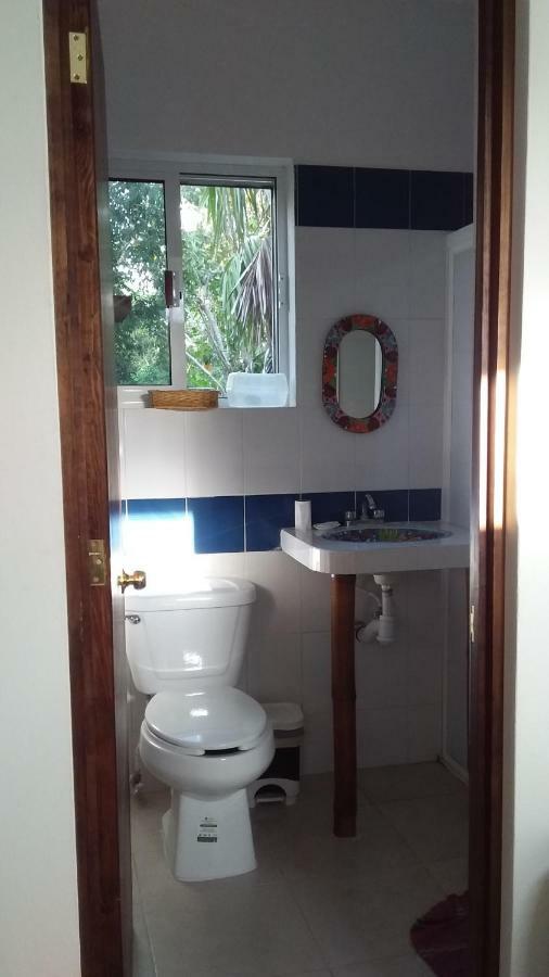 Villa Mini Pini Bird Watching And Cenote Loft Cozumel Esterno foto