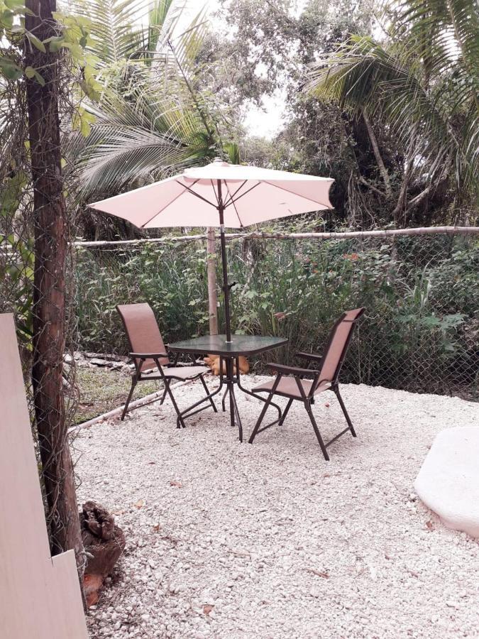 Villa Mini Pini Bird Watching And Cenote Loft Cozumel Esterno foto