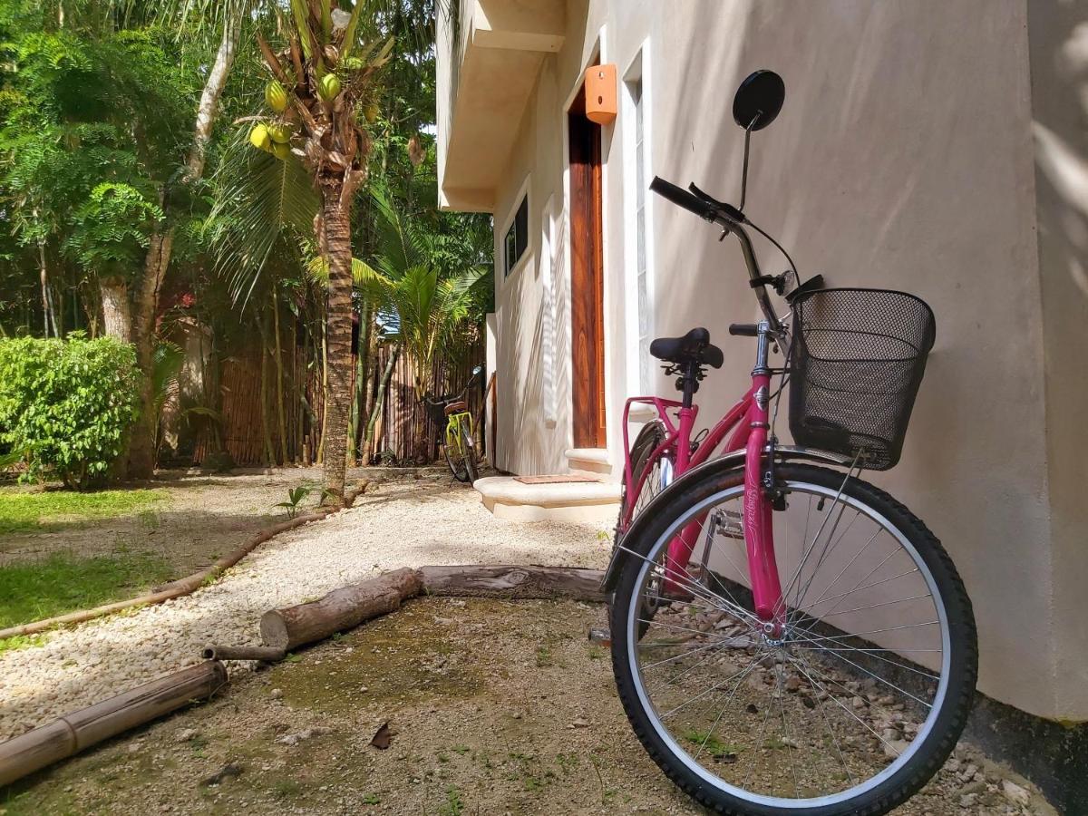 Villa Mini Pini Bird Watching And Cenote Loft Cozumel Esterno foto