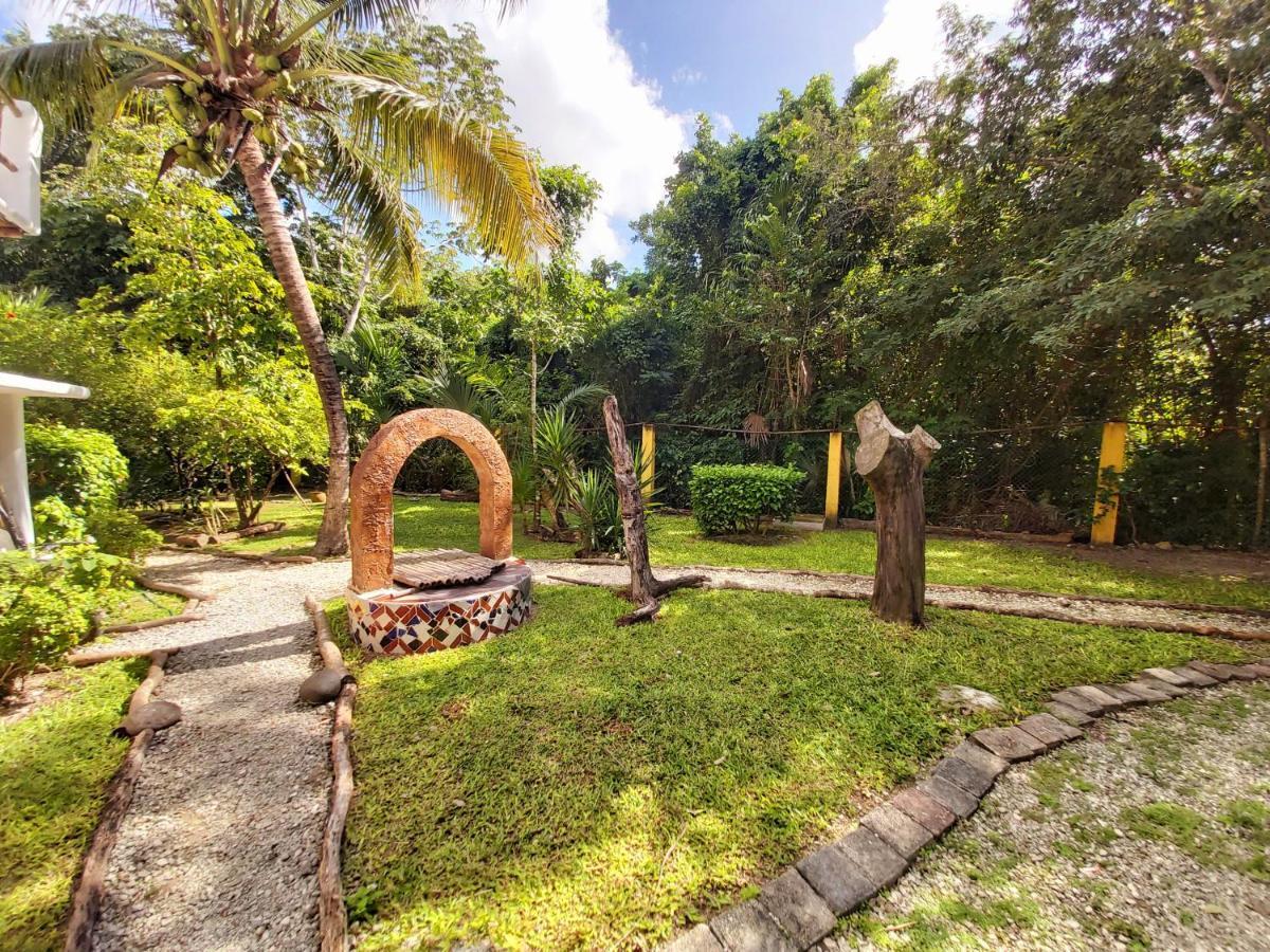 Villa Mini Pini Bird Watching And Cenote Loft Cozumel Esterno foto
