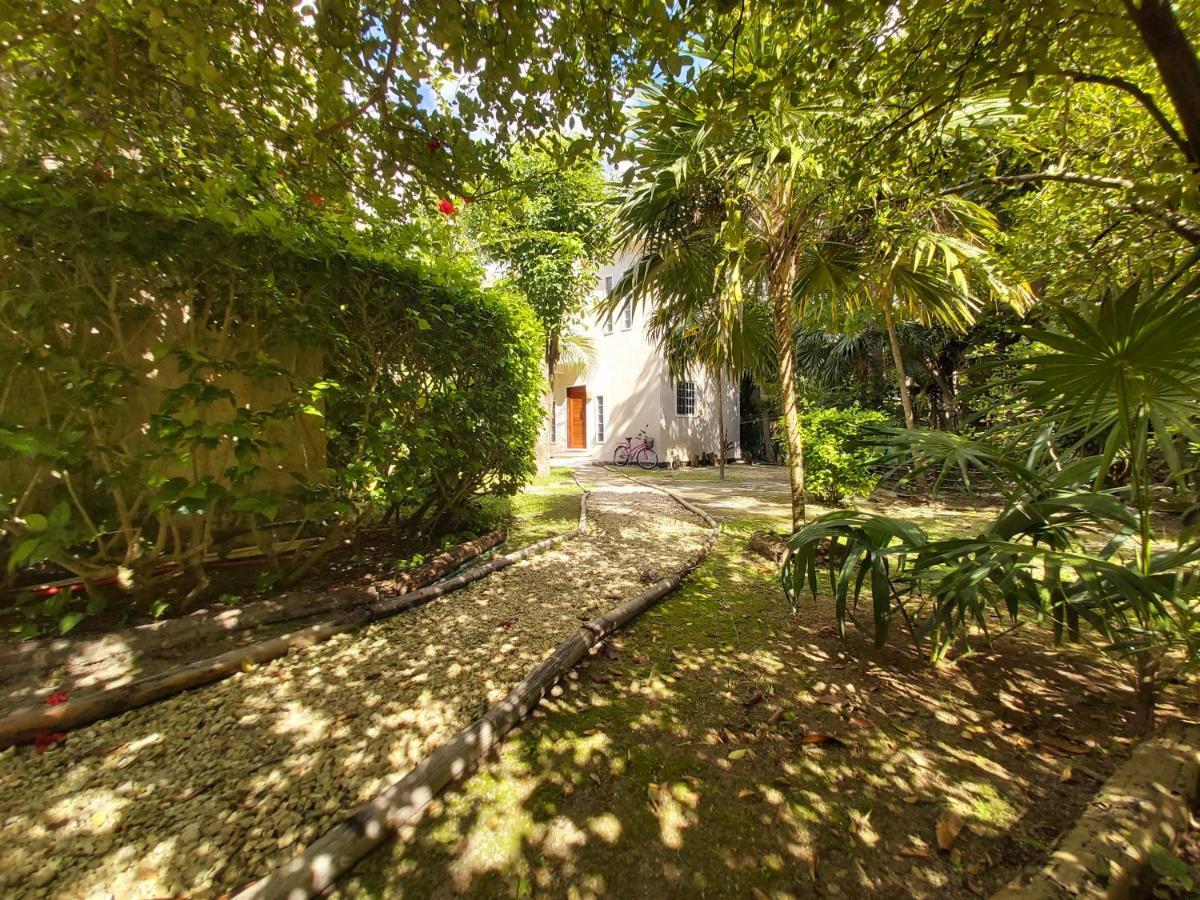 Villa Mini Pini Bird Watching And Cenote Loft Cozumel Esterno foto