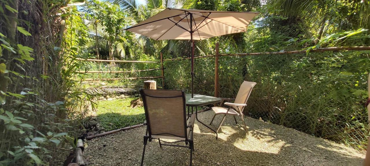 Villa Mini Pini Bird Watching And Cenote Loft Cozumel Esterno foto
