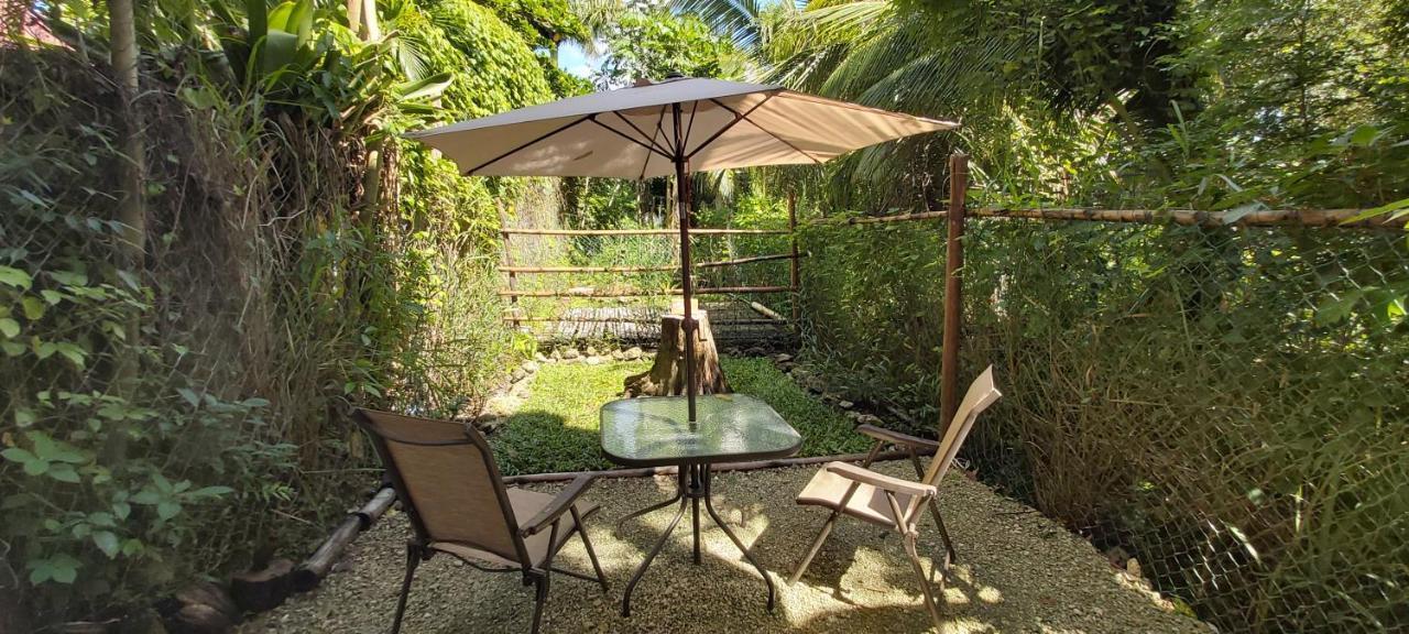 Villa Mini Pini Bird Watching And Cenote Loft Cozumel Esterno foto