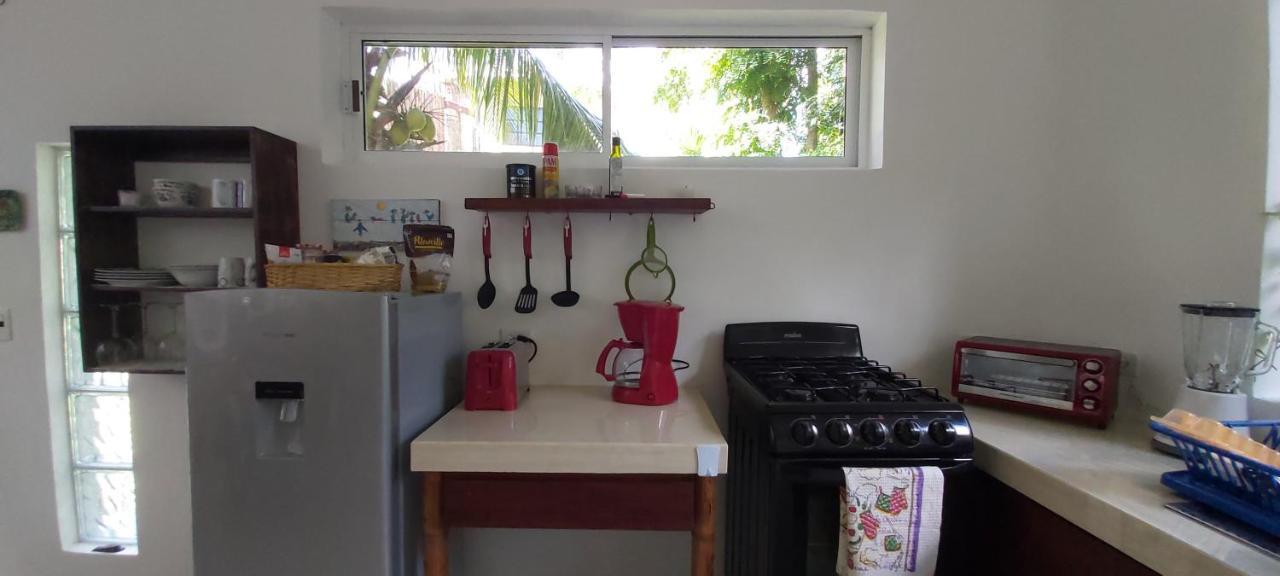 Villa Mini Pini Bird Watching And Cenote Loft Cozumel Esterno foto