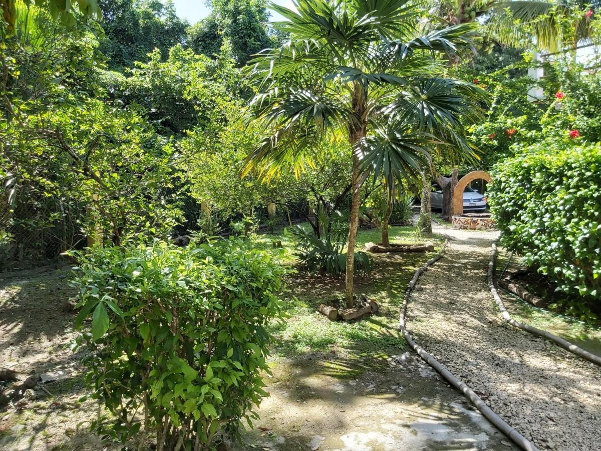 Villa Mini Pini Bird Watching And Cenote Loft Cozumel Esterno foto