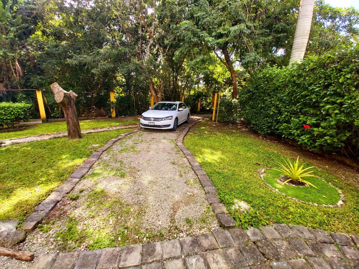 Villa Mini Pini Bird Watching And Cenote Loft Cozumel Esterno foto